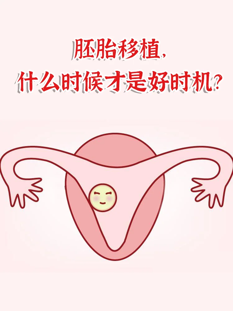 胚胎移植的理想时机：把握关键节点