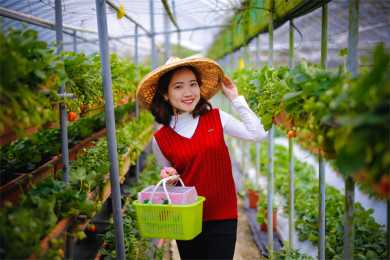 试管婴儿应该进入医保吗，试管婴儿应该进入医保吗